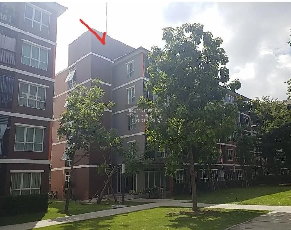 ขายคอนโด  ไมอามี บางปู บางปูใหม่ เมืองสมุทรปราการ สมุทรปราการ CX- 1