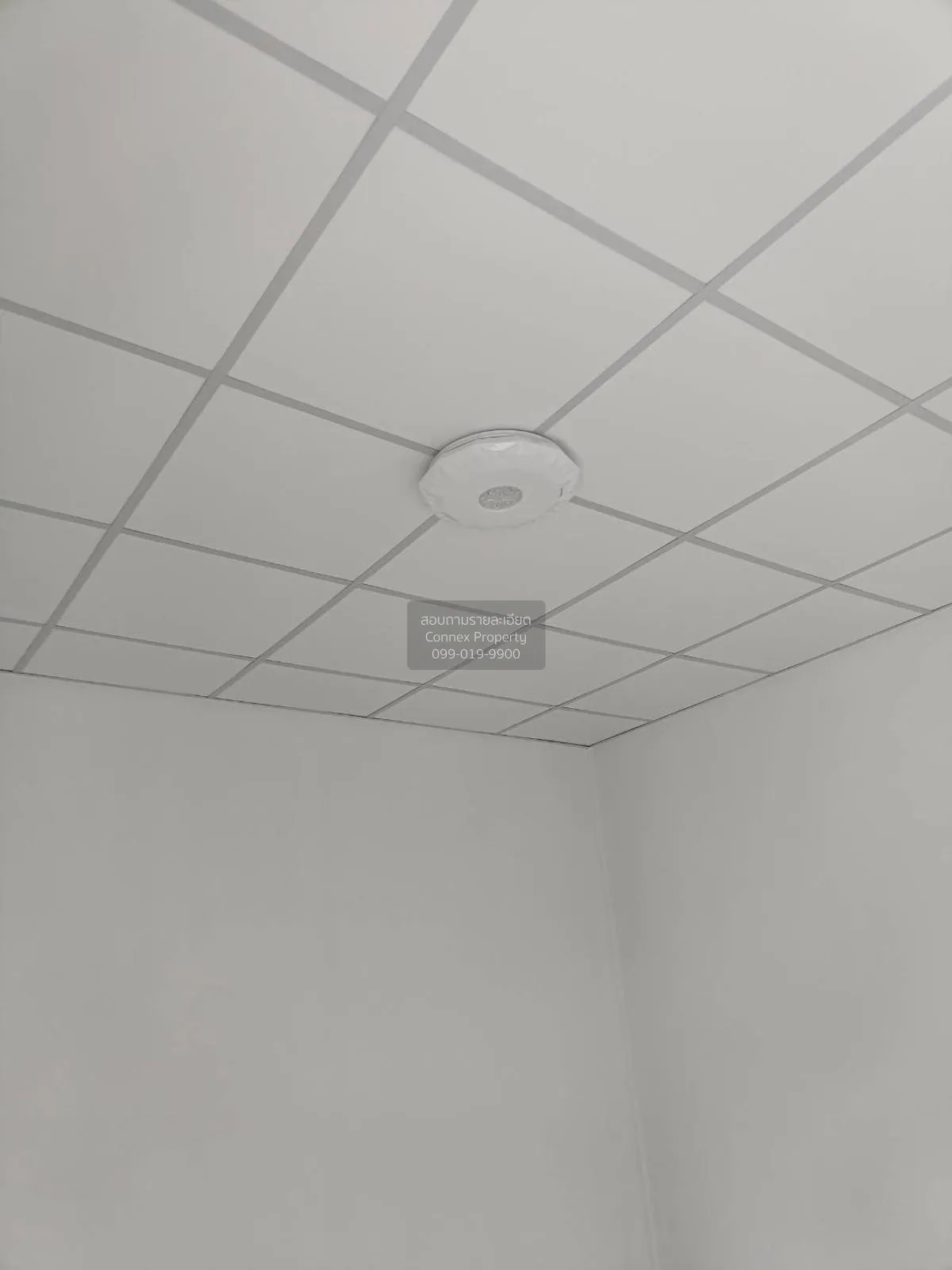 ขายบ้านพร้อมที่ดิน เนื้อที่1ไร่  คลองนกกระทุง บางเลน นครปฐม CX-12