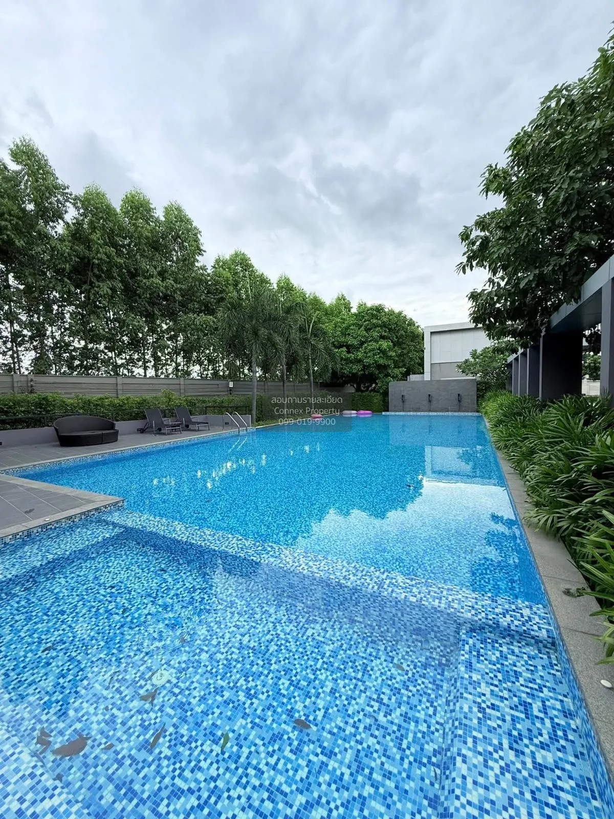 ขายบ้าน  เดอะ แพลนท์ รังสิต อเวนิว ประชาธิปัตย์ คลองหลวง ปทุมธานี