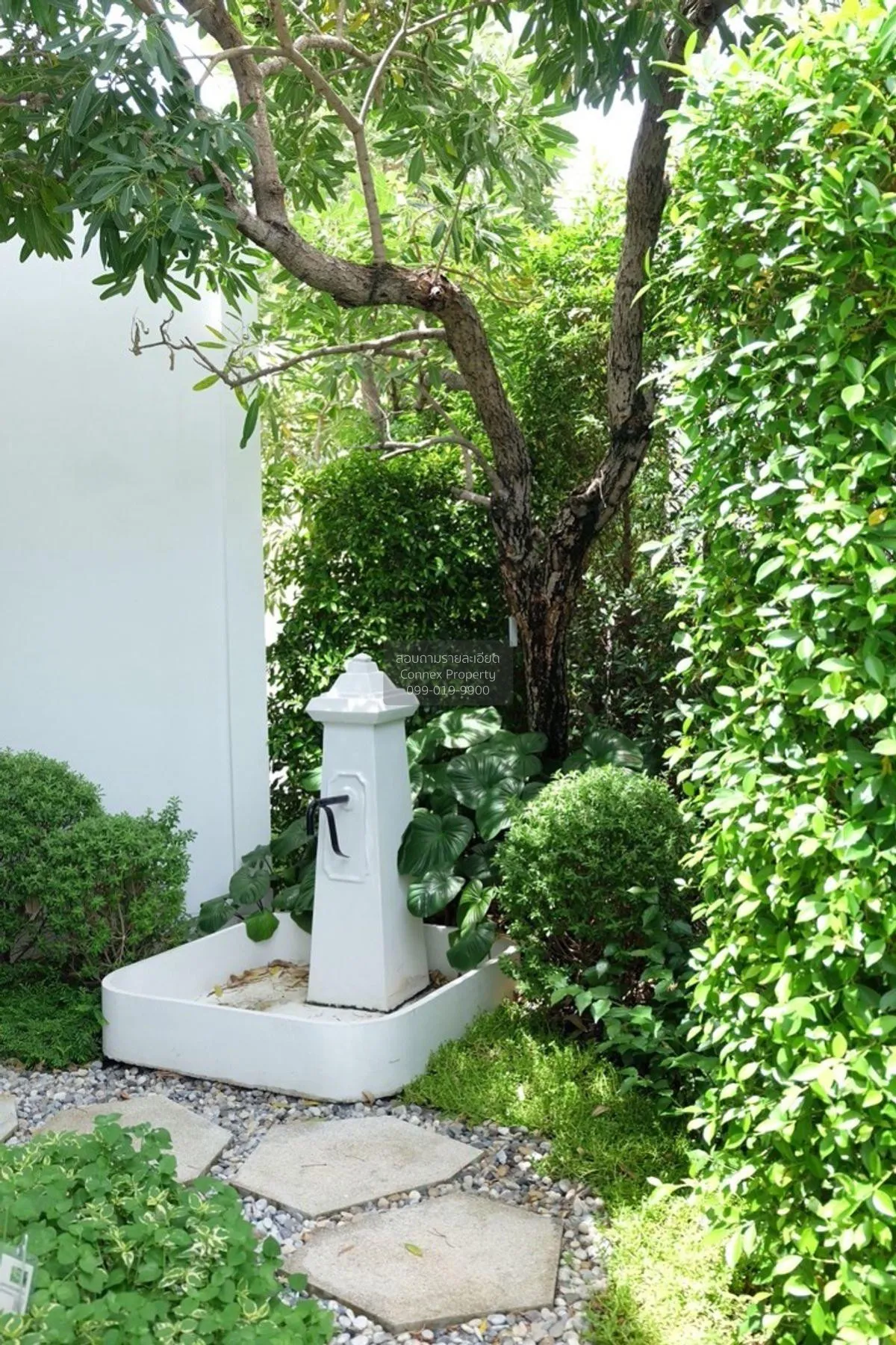 เช่า บ้าน  ชัยพฤกษ์ บางนา กม. 15 บางโฉลง บางพลี สมุทรปราการ CX-12