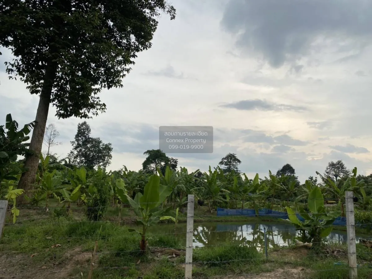 For Sale Land and building for sale , Khao Phoem , Ban Na , Nakho 3