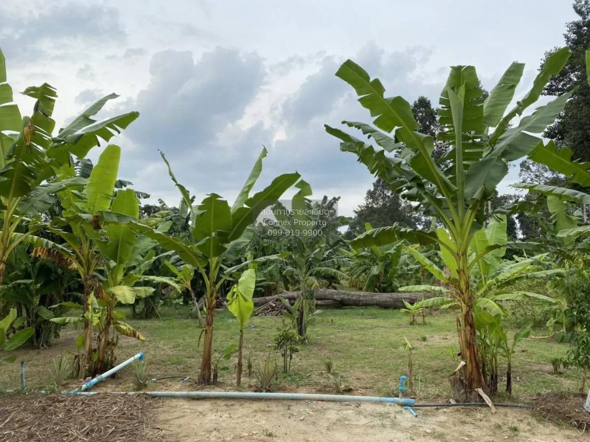 For Sale Land and building for sale , Khao Phoem , Ban Na , Nakho 4