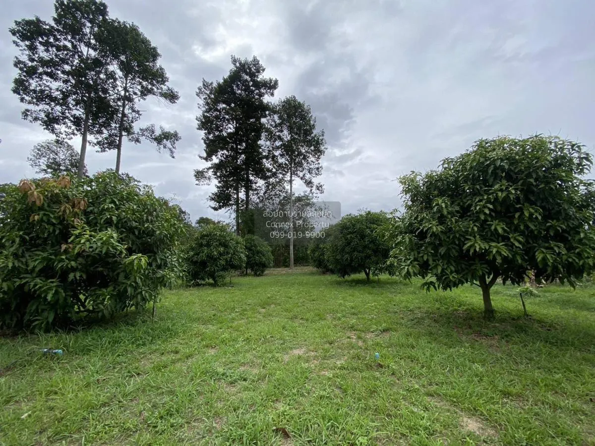 For Sale Land and building for sale , Khao Phoem , Ban Na , Nakho