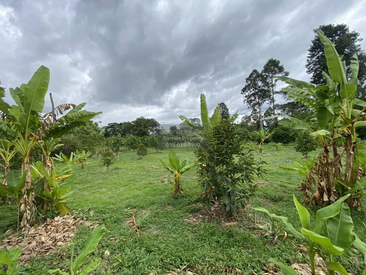 For Sale Land and building for sale , Khao Phoem , Ban Na , Nakho