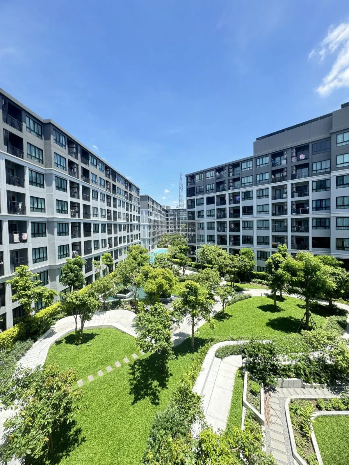 เช่าคอนโด  ดีคอนโด แคมปัส ไฮด์อเวย์ คลองหนึ่ง คลองหลวง ปทุมธานี C