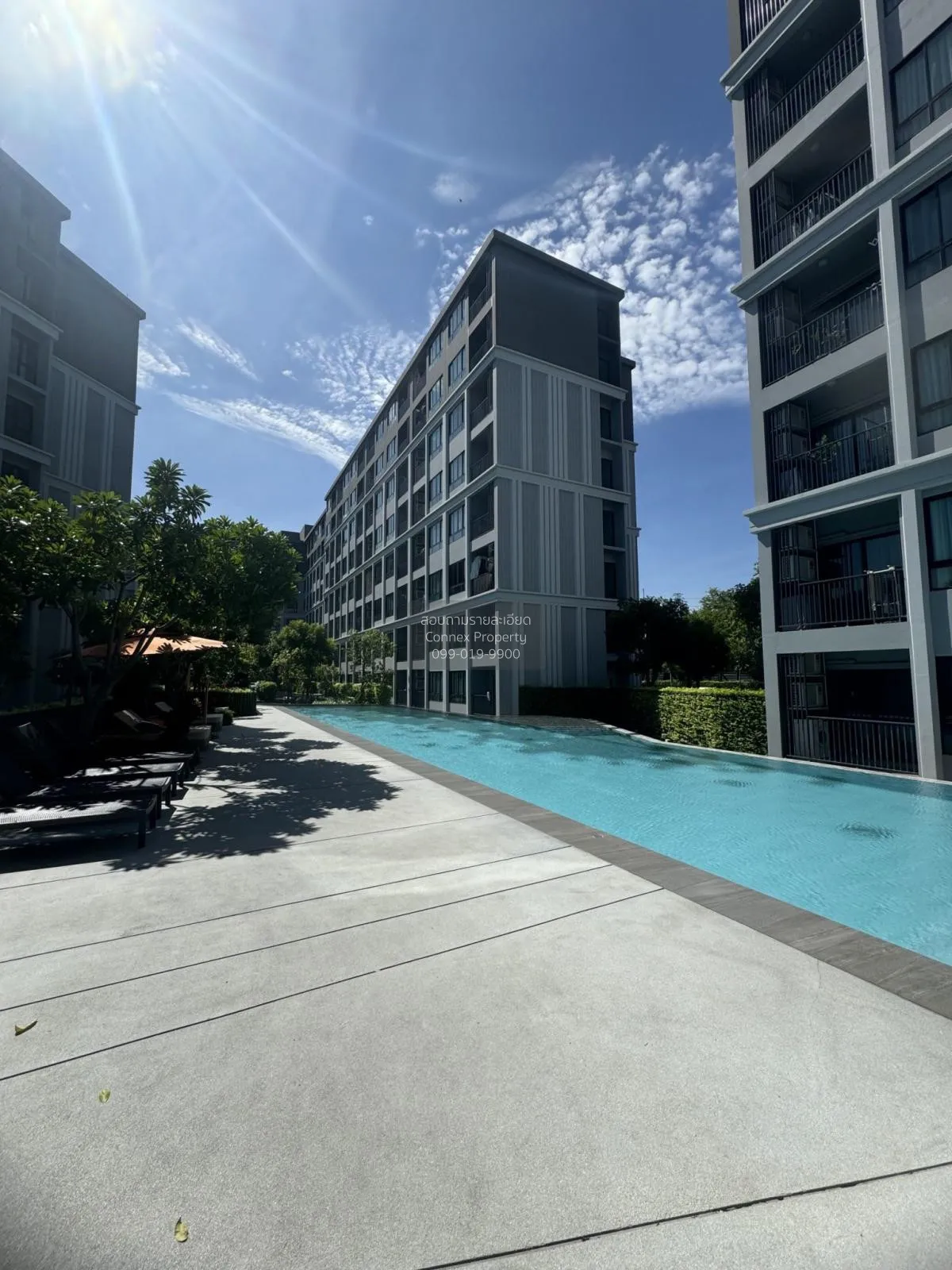 เช่าคอนโด  ดีคอนโด แคมปัส ไฮด์อเวย์ คลองหนึ่ง คลองหลวง ปทุมธานี C