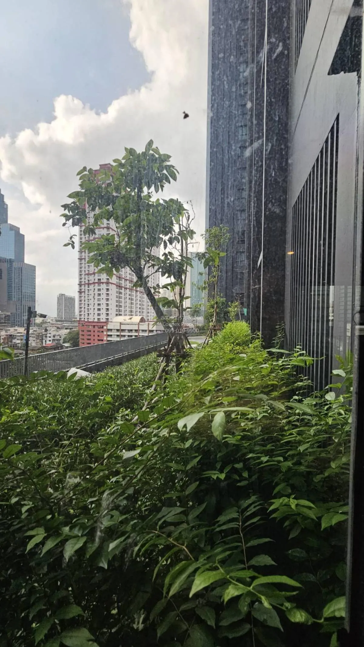 เช่าคอนโด  ไอดีโอ คิว สยาม-ราชเทวี BTS-ราชเทวี ทุ่งพญาไท เขต ราชเ