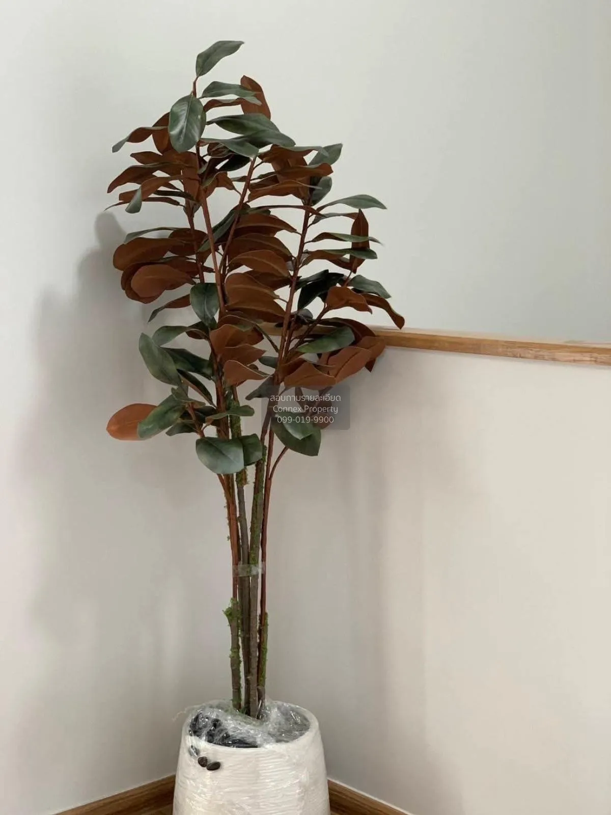 For Rent Townhouse/Townhome  , Pleno Sukhumvit-Bangna 3 , Bang Ka