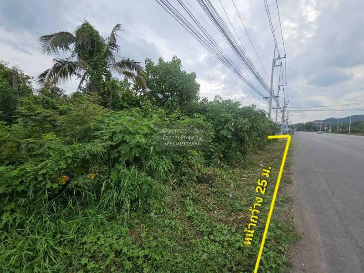 For Rent 5 rai of vacant land, Muang Lop Buri District , Nikhom S 2