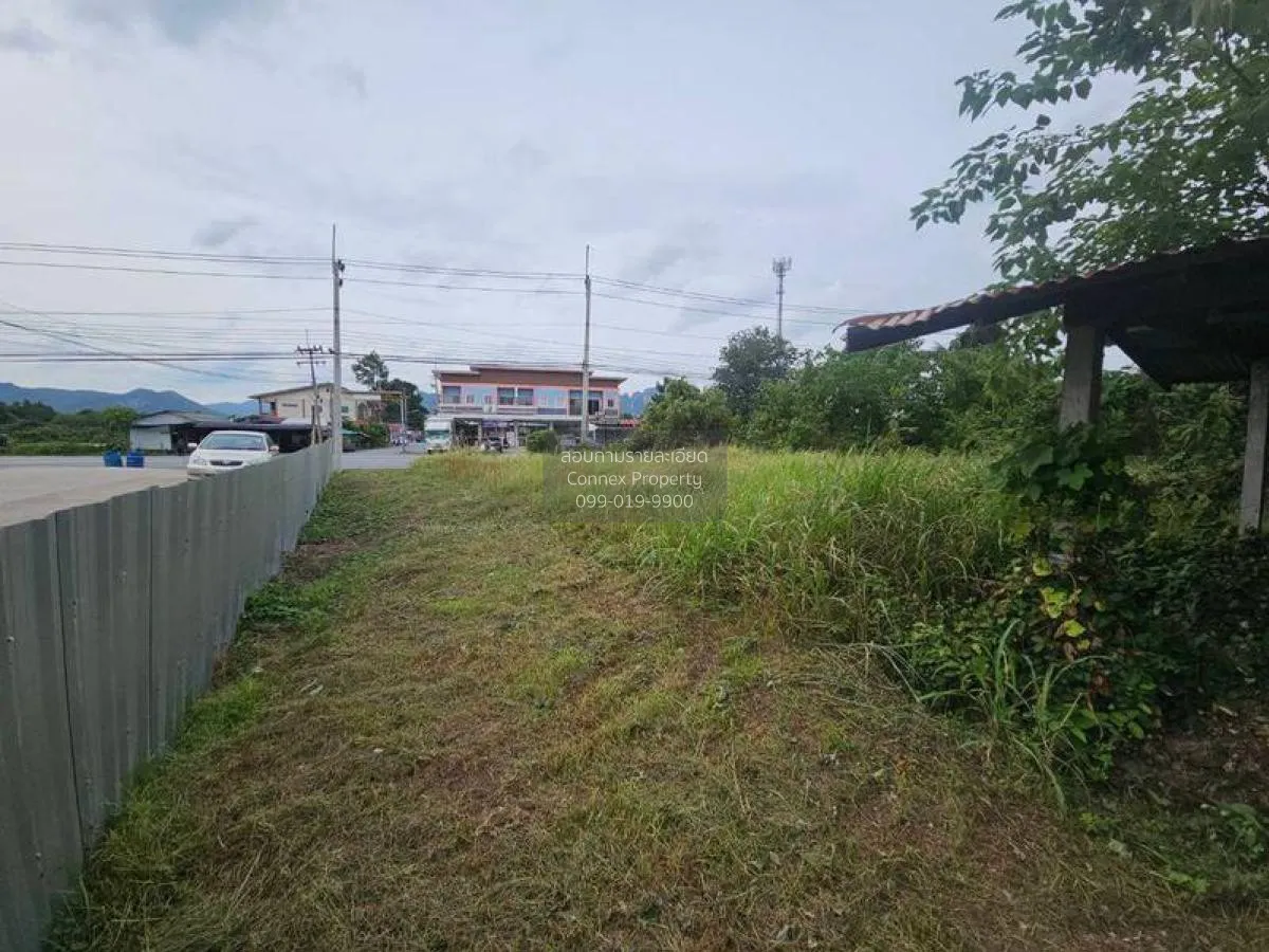 For Rent 5 rai of vacant land, Muang Lop Buri District , Nikhom S