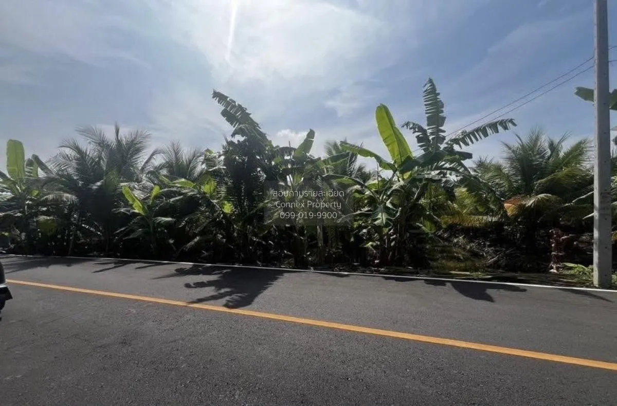 ขายที่ดินมะพร้าวน้ำหอม หนองบัว บ้านแพ้ว สมุทรสาคร CX-130456