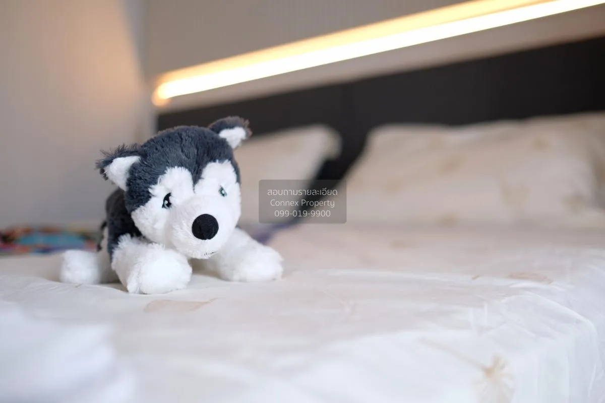 For Rent Condo , Ideo Ramkhamhaeng - Lam Sali Station , MRT-Lam S