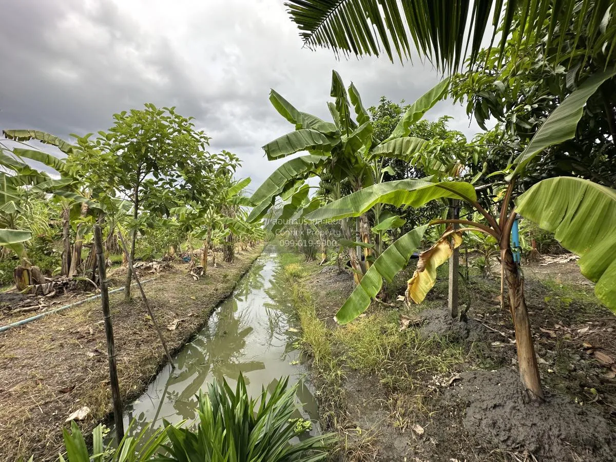 For Sale land area 7-0-90 Bang Yai Nonthaburi , Bang Yai , Bang Y 2