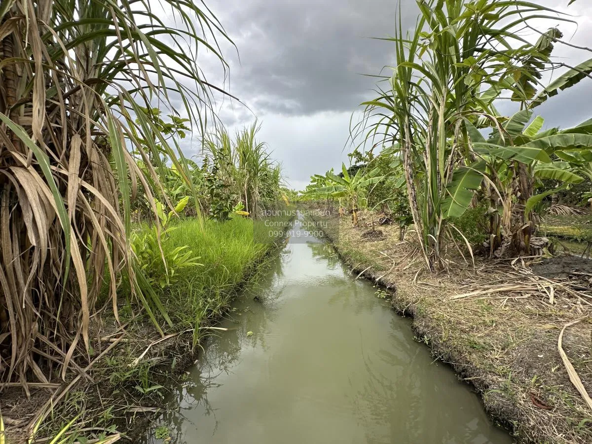 For Sale land area 7-0-90 Bang Yai Nonthaburi , Bang Yai , Bang Y 3