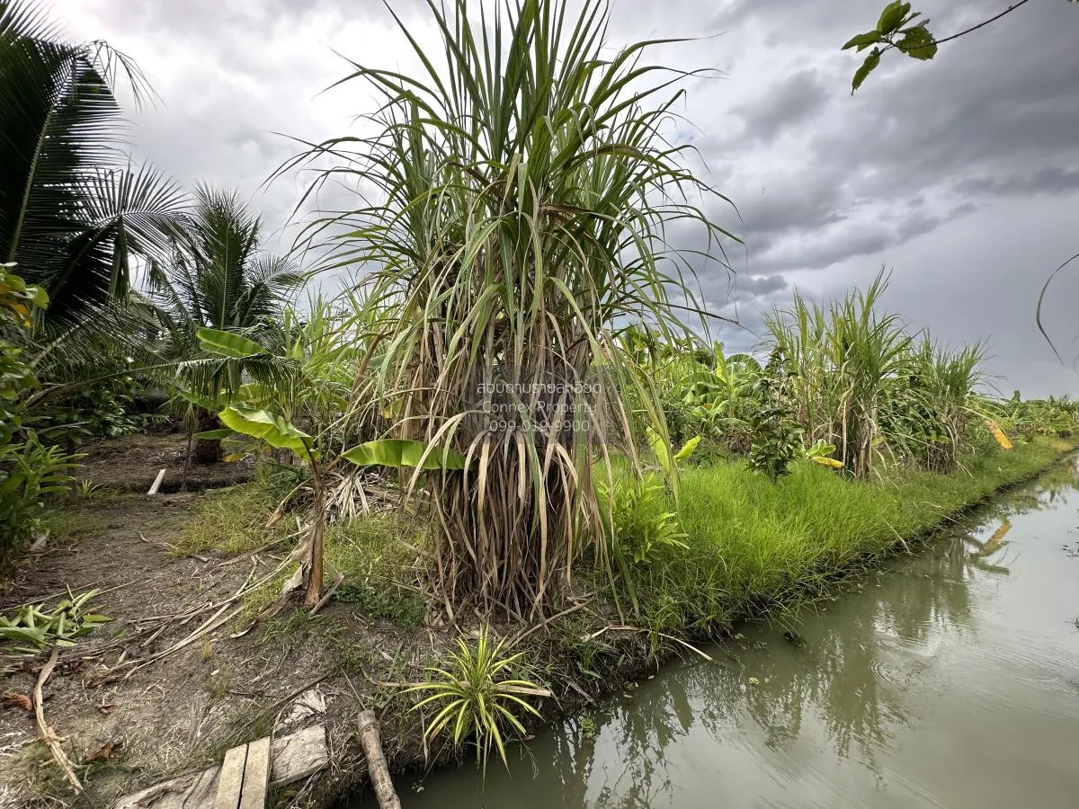 For Sale land area 7-0-90 Bang Yai Nonthaburi , Bang Yai , Bang Y 4