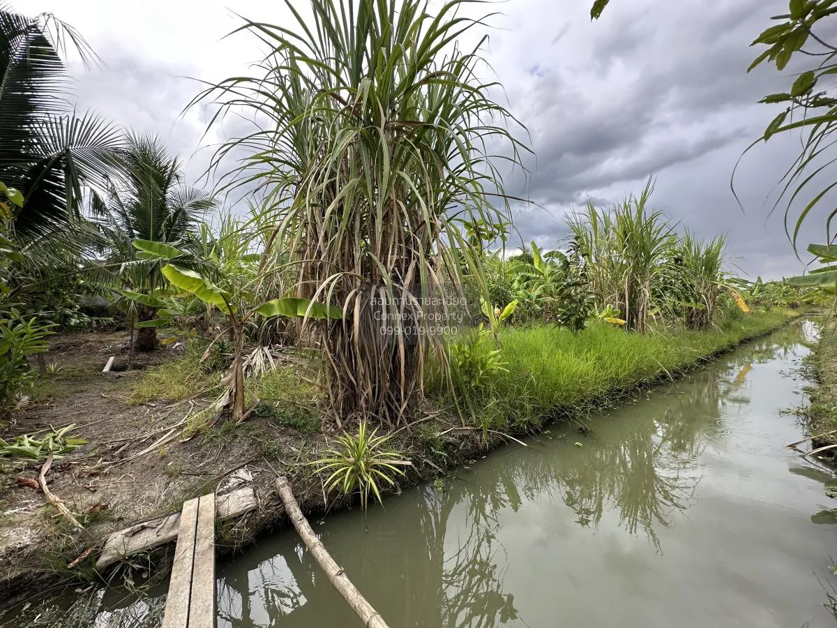 For Sale land area 7-0-90 Bang Yai Nonthaburi , Bang Yai , Bang Y