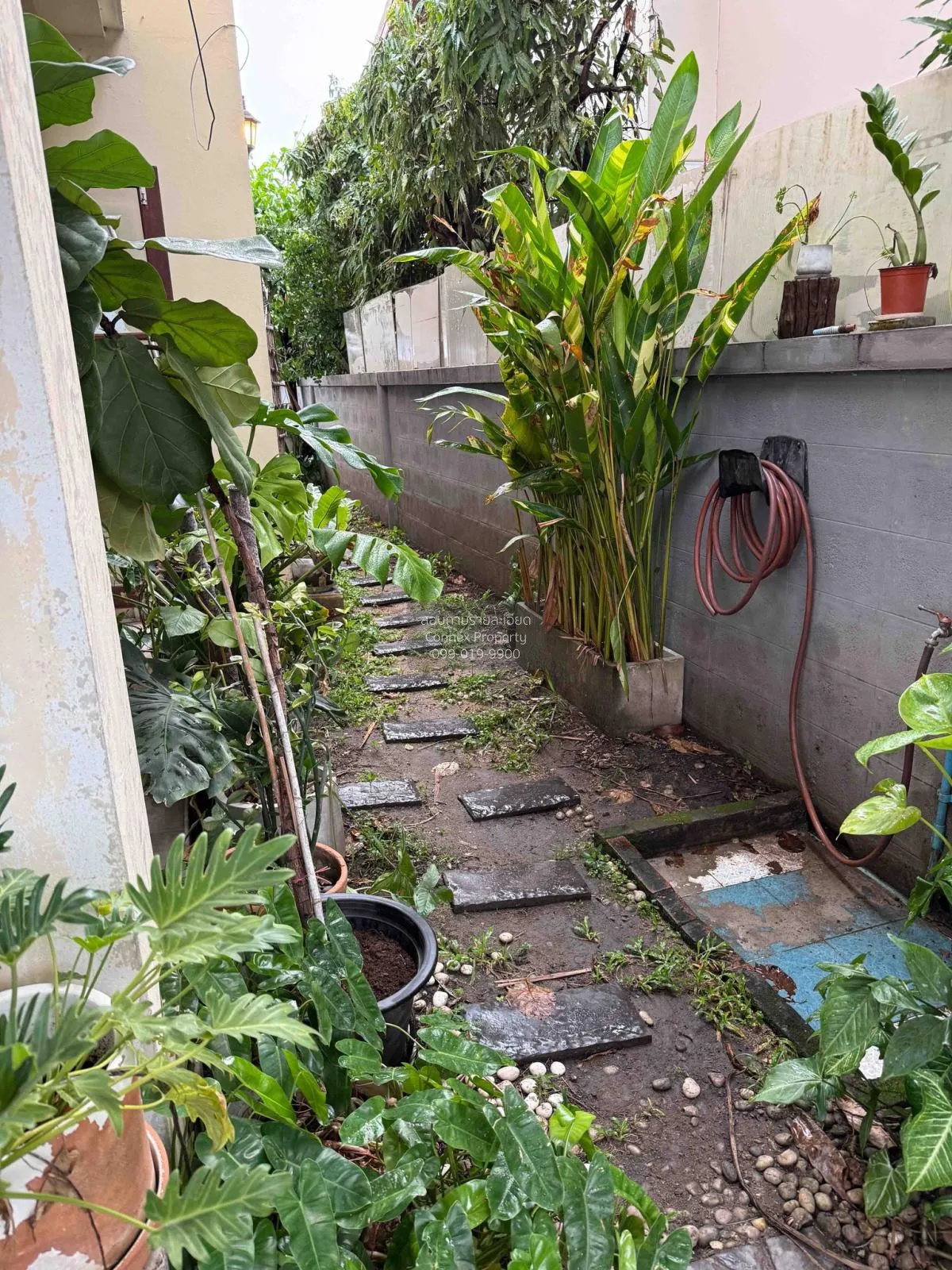 ขายทาวน์เฮ้าส์/ทาวน์โฮม  สิรีนเฮ้าส์ รัตนาธิเบศร์ ไทรม้า เมืองนนท 2