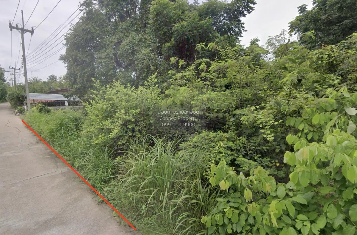 For Sale land area 2-3-40 square wah Thawi Chai Takhli Nakhon Saw 2