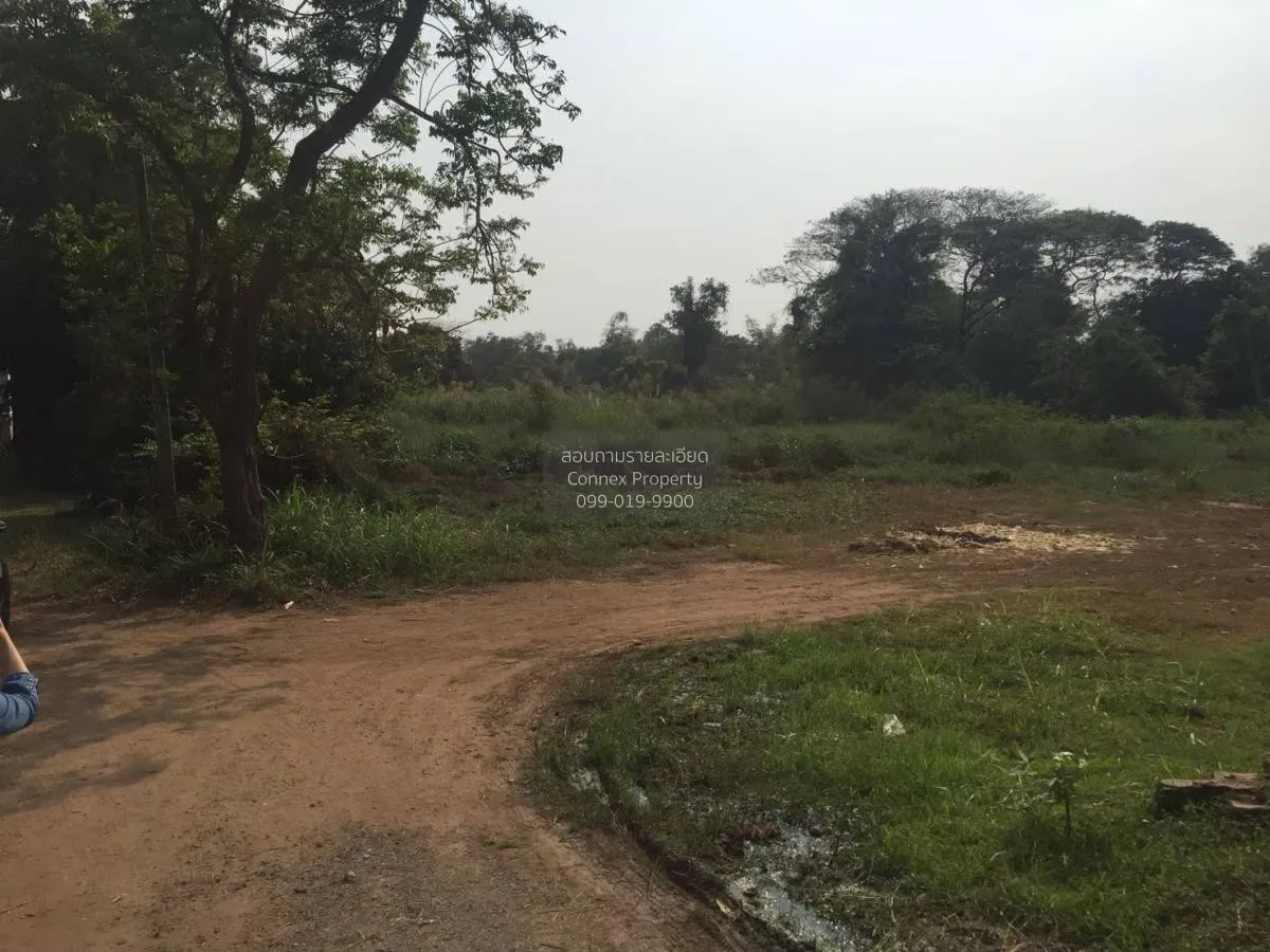 ขายที่ดินริมแม่น้ำ​น้อย​ จ.พระนคร​ศรี​อยุธยา เสนา บ้านโพธิ์ พระนค 3