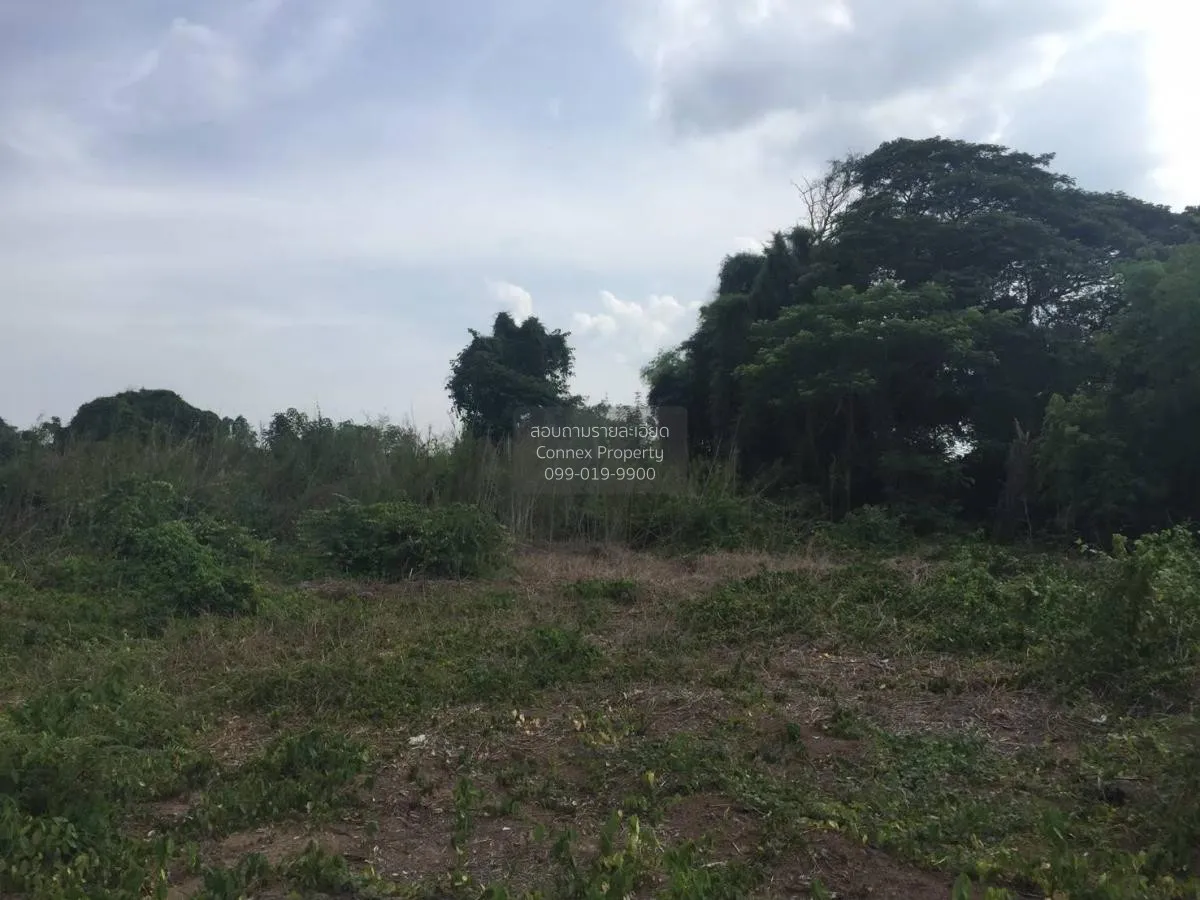 ขายที่ดินริมแม่น้ำ​น้อย​ จ.พระนคร​ศรี​อยุธยา เสนา บ้านโพธิ์ พระนค