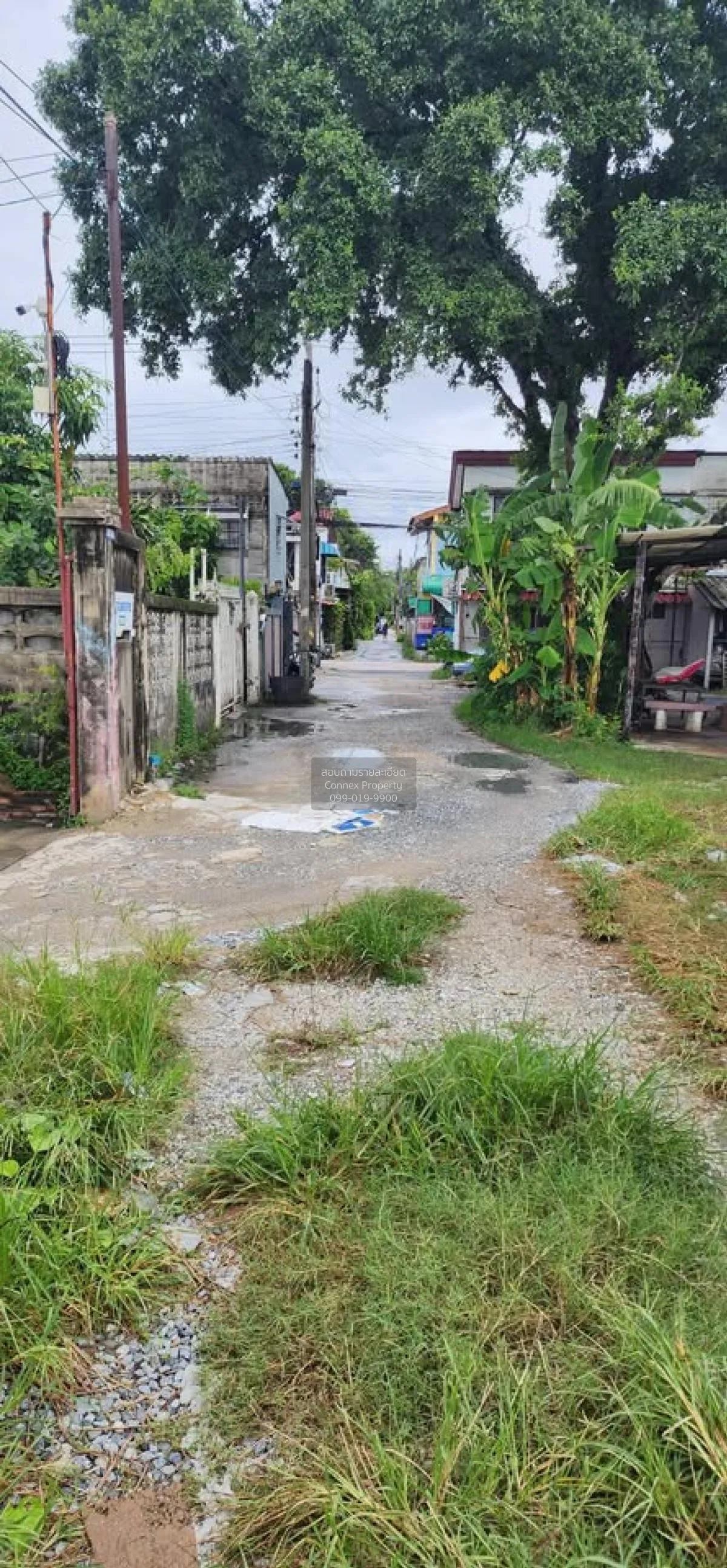 ขายที่ดินเปล่า  บ้านเคหะนคร 2 วิวแม่น้ำ หน้ากว้าง ลาดกระบัง เขต ล 3