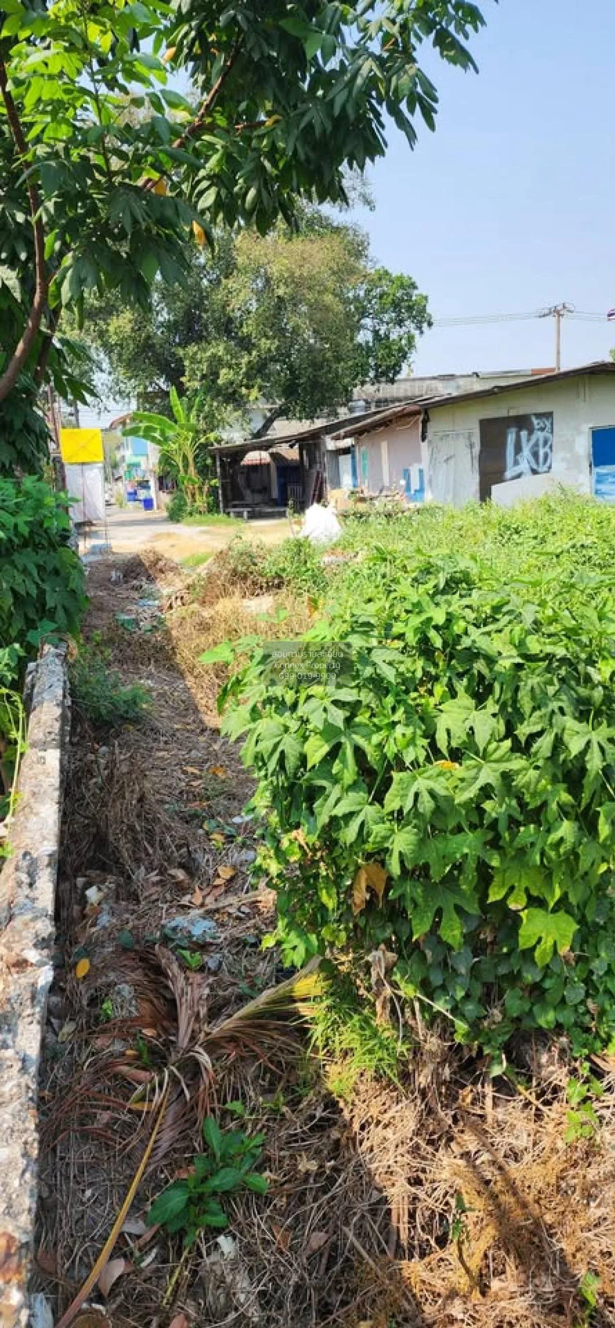 ขายที่ดินเปล่า  บ้านเคหะนคร 2 วิวแม่น้ำ หน้ากว้าง ลาดกระบัง เขต ล 4