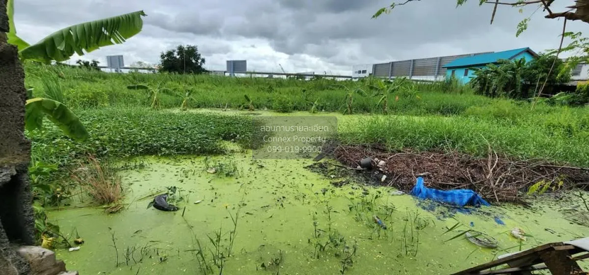 ขายที่ดินเปล่า  บ้านเคหะนคร 2 วิวแม่น้ำ หน้ากว้าง ลาดกระบัง เขต ล