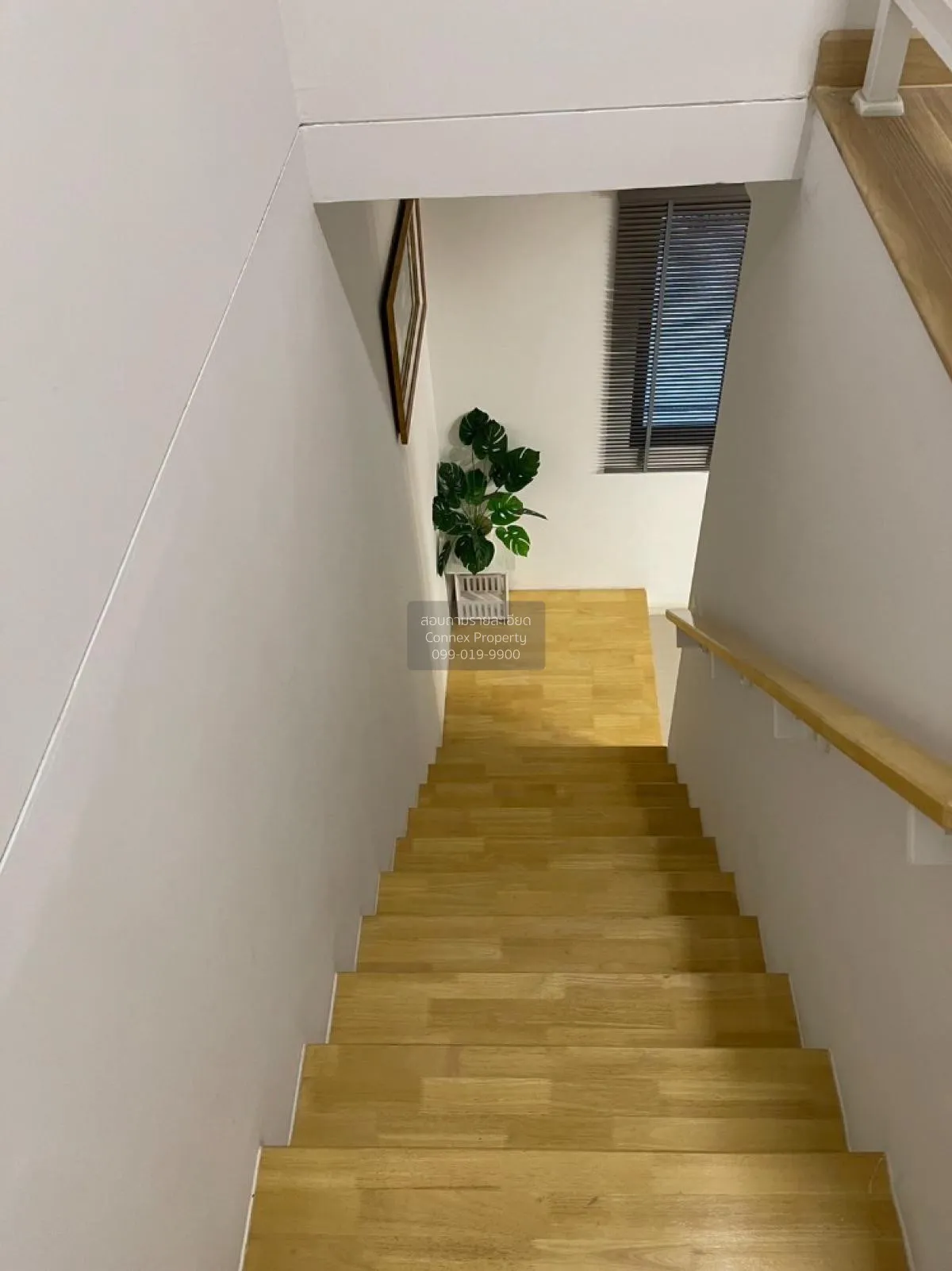 For Rent House , Pruksa Ville Ramkhamhaeng-Wongwaen (Mistine) , M