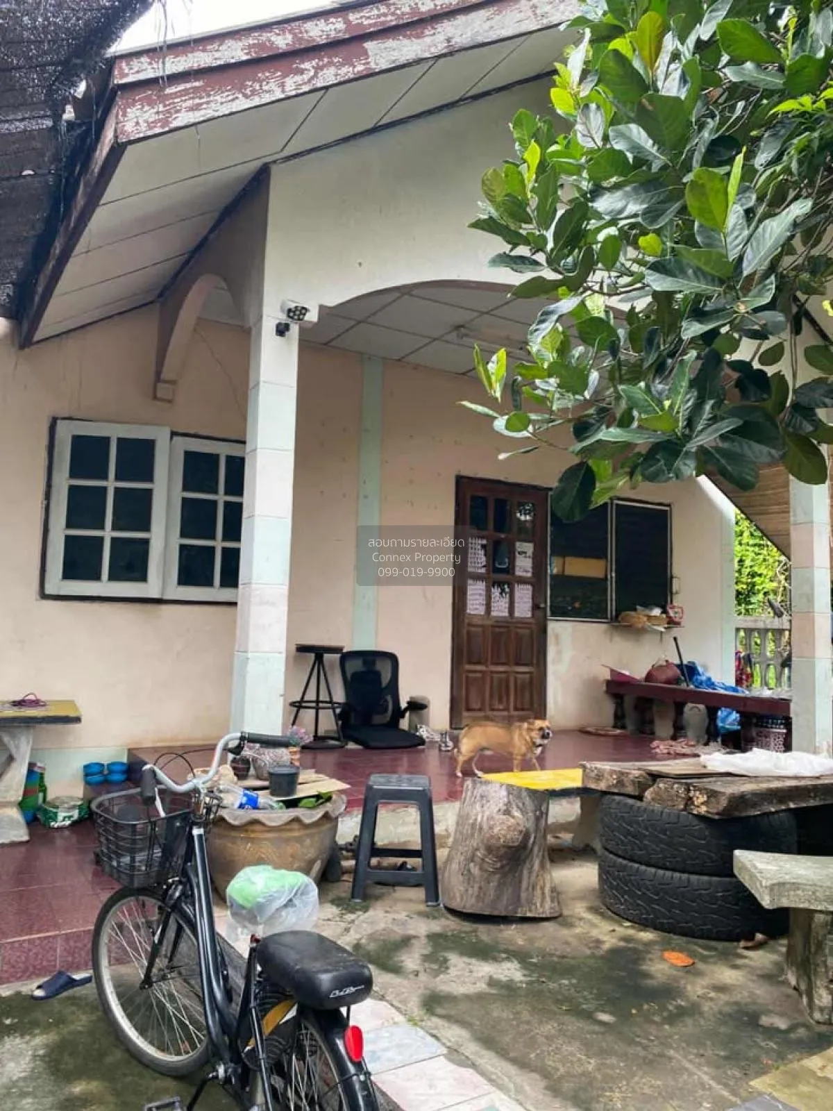 ขายบ้านเดี่ยวพร้อมที่ดิน 100ตรว. นครราชสีมา หนองจะบก เมืองนครราชส 2