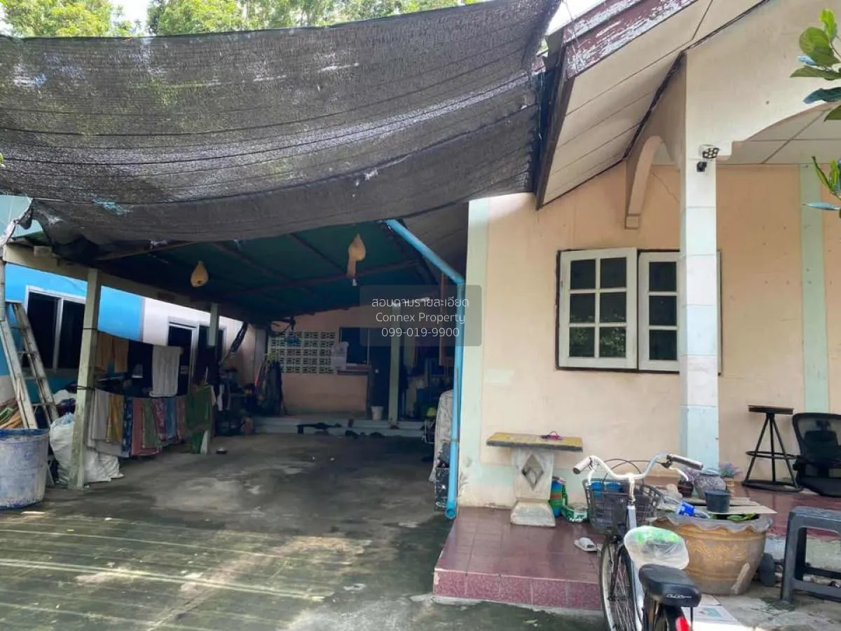 ขายบ้านเดี่ยวพร้อมที่ดิน 100ตรว. นครราชสีมา หนองจะบก เมืองนครราชส 3