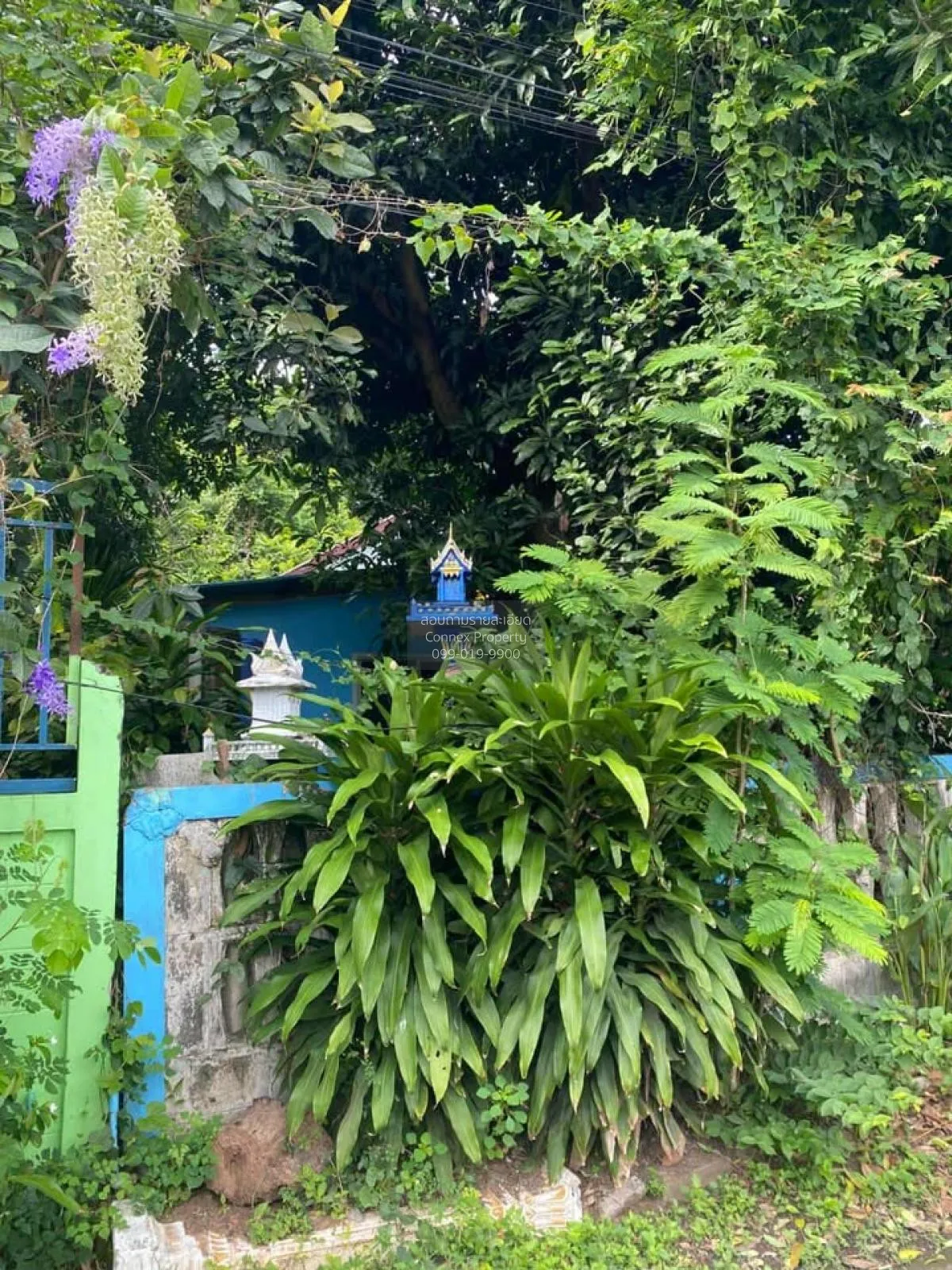 ขายบ้านเดี่ยวพร้อมที่ดิน 100ตรว. นครราชสีมา หนองจะบก เมืองนครราชส