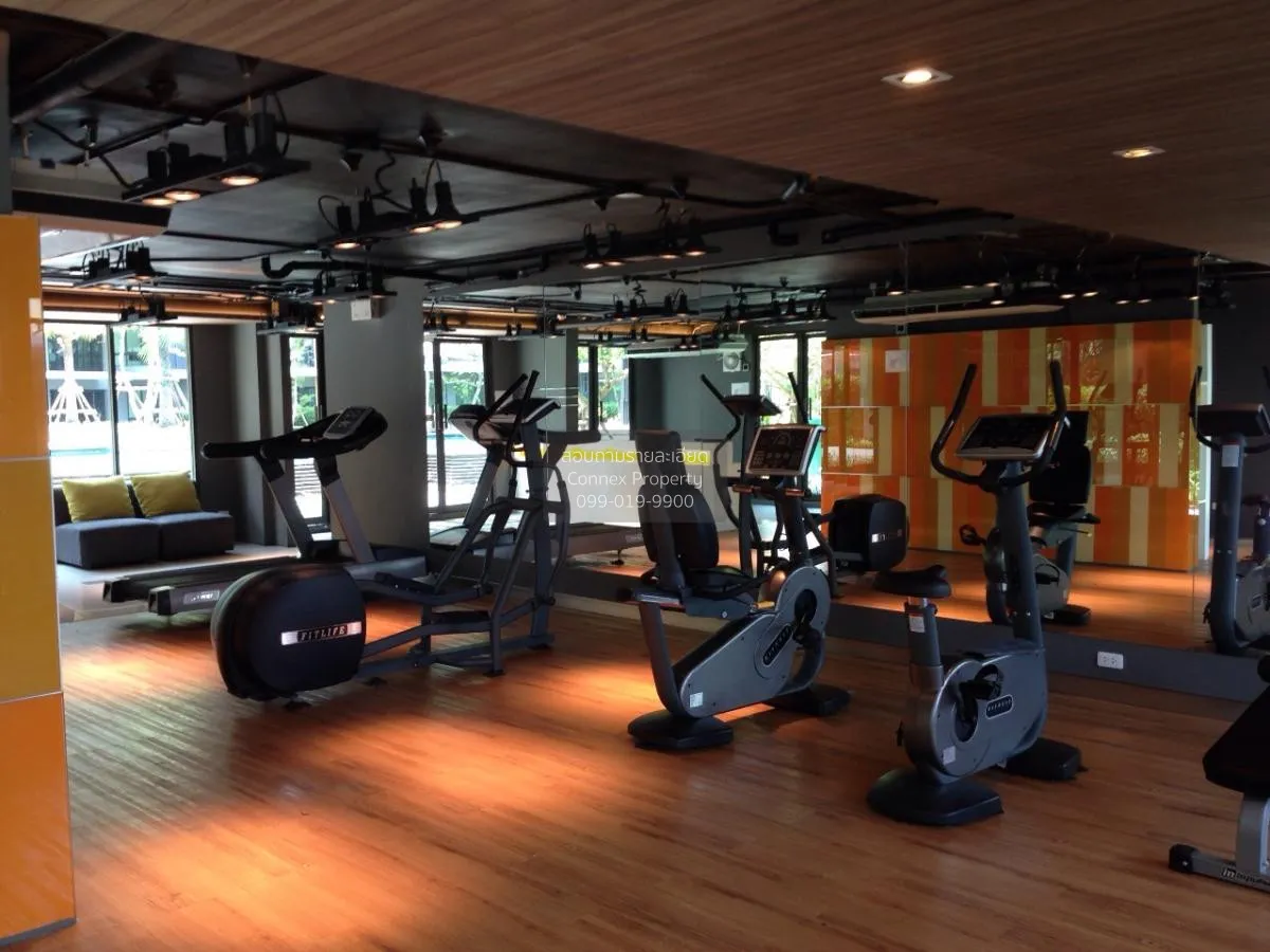 For Rent Condo , iCondo Sukhumvit 103 , BTS-Udom Suk , Bang Na , 