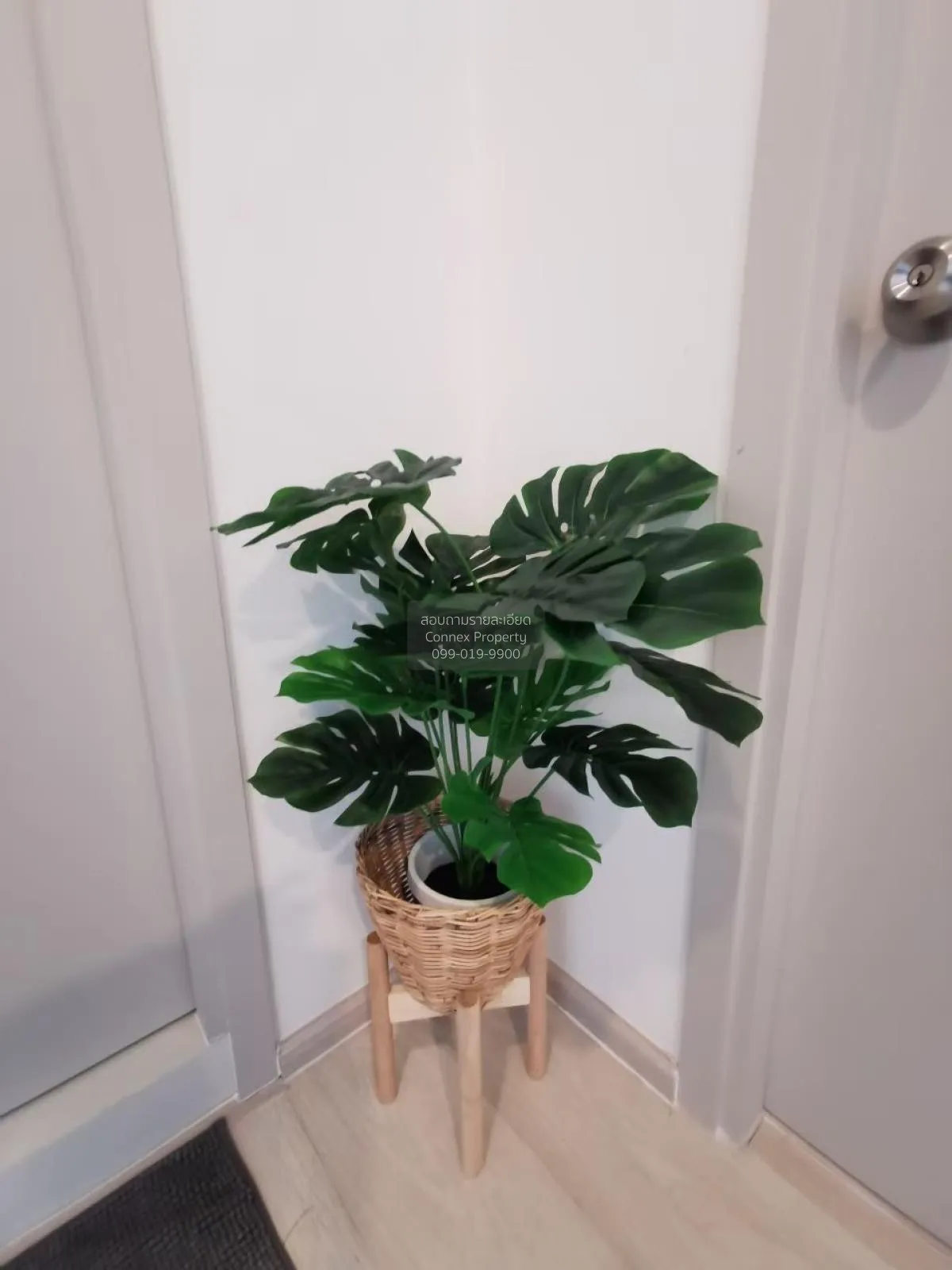 เช่าคอนโด  ไลฟ์ สุขุมวิท 48 BTS-พระโขนง พระโขนง เขต คลองเตย กรุงเ