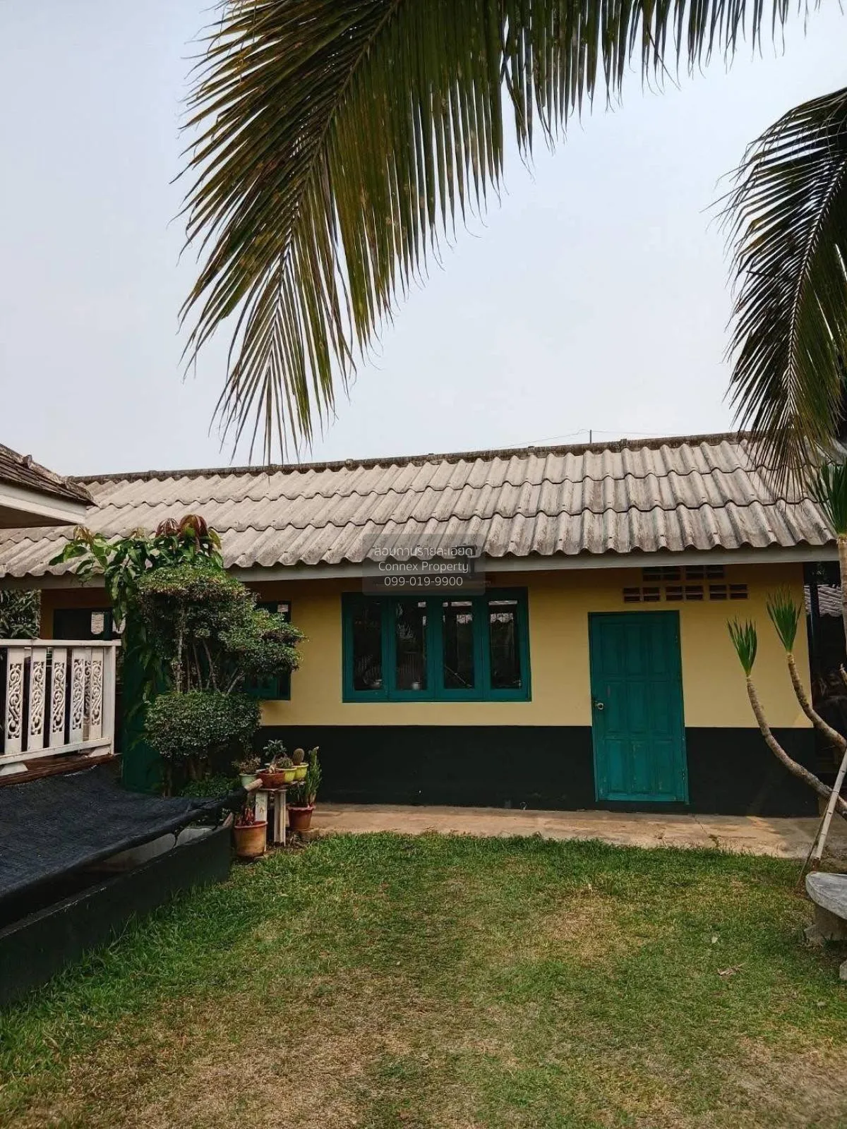 ขายบ้านสวนพร้อมที่ดิน ร่มรื่นน่าอยู่ บรรยากาศดี ต.ศรีค้ำ อ.แม่จัน 1