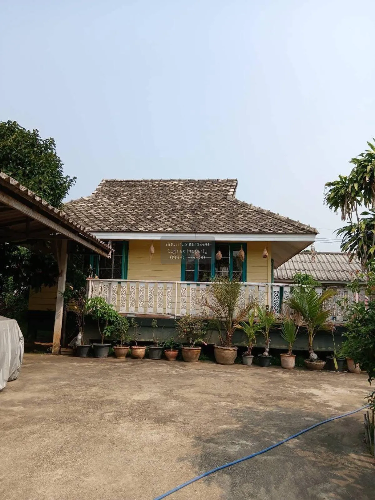 ขายบ้านสวนพร้อมที่ดิน ร่มรื่นน่าอยู่ บรรยากาศดี ต.ศรีค้ำ อ.แม่จัน 2