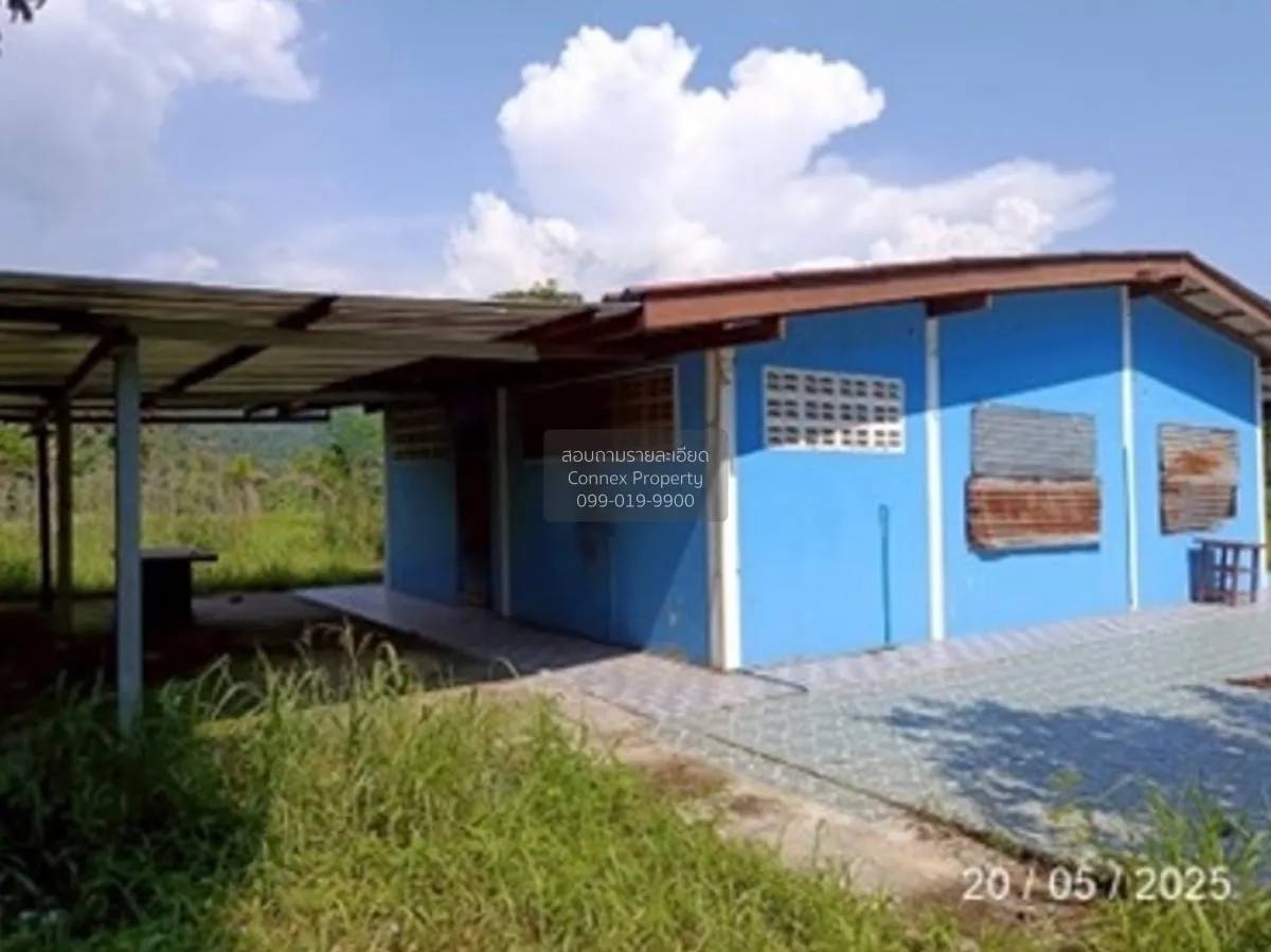 For Sale 1 - storey house area 2-2-92 sq m Sriracha Chonburi , Ba 2