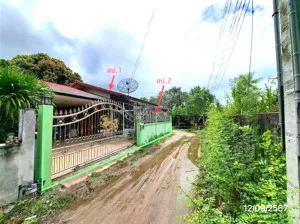 ขายบ้าน1 ชั้น พื้นที่ 50 ตรว. สัตหีบ ชลบุรี บางเสร่ สัตหีบ ชลบุรี CX-131916