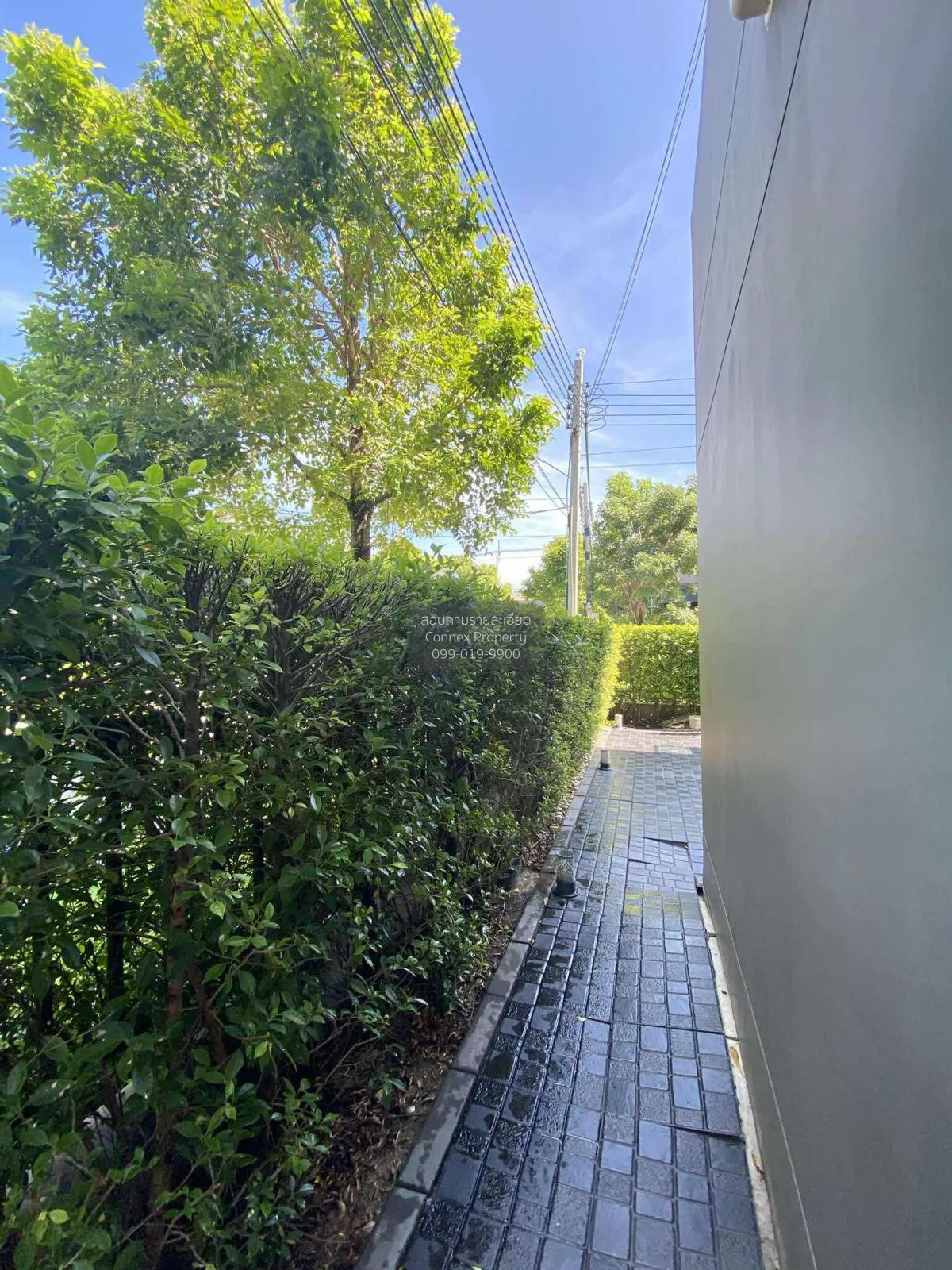 For Sale House , Bangkok Boulevard Chaengwattana 2 , Bang Tanai ,