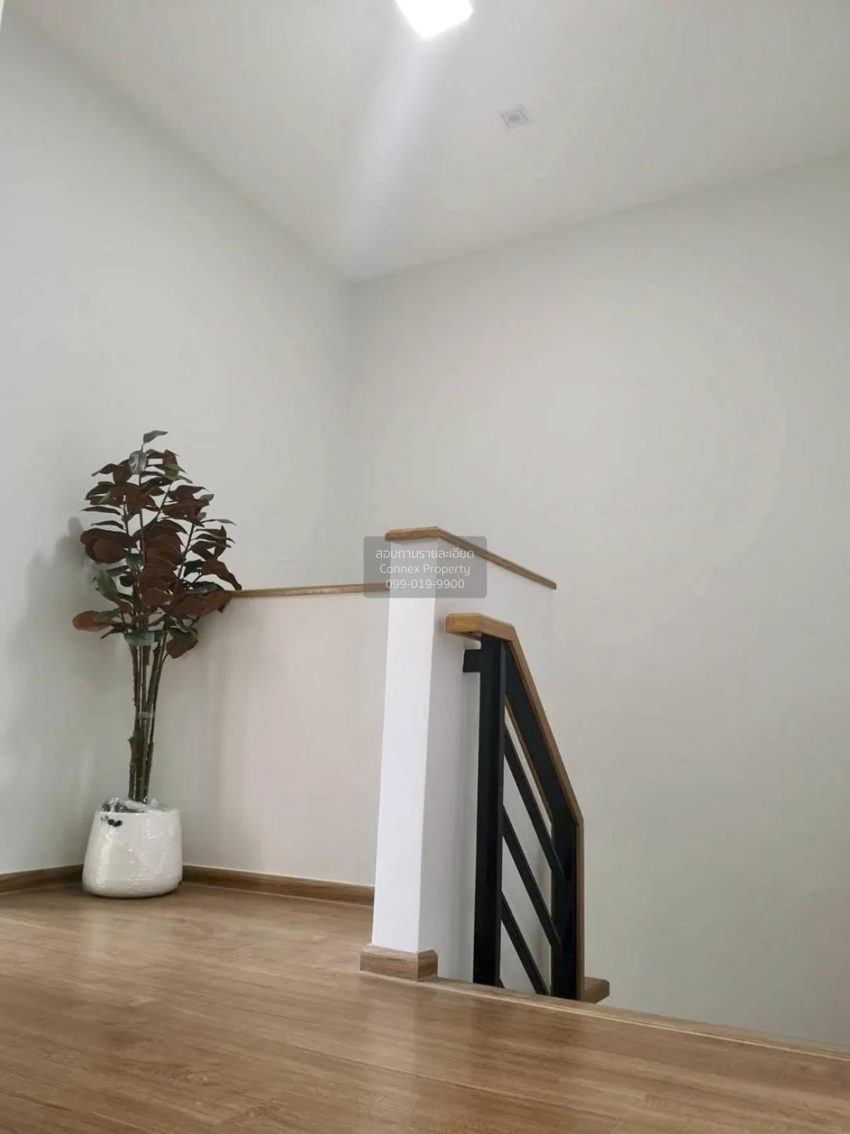 ขายทาวน์เฮ้าส์/ทาวน์โฮม  พลีโน่ สุขุมวิท บางนา 3 บางแก้ว บางพลี ส