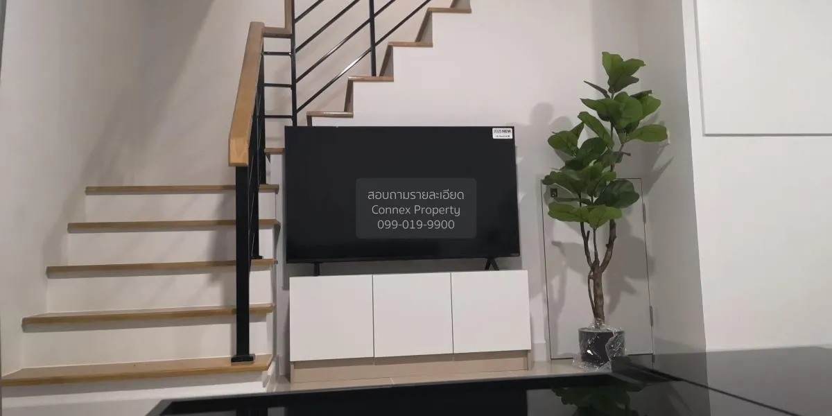 เช่าทาวน์เฮ้าส์/ทาวน์โฮม  พลีโน่ สุขุมวิท บางนา 3 บางแก้ว บางพลี 