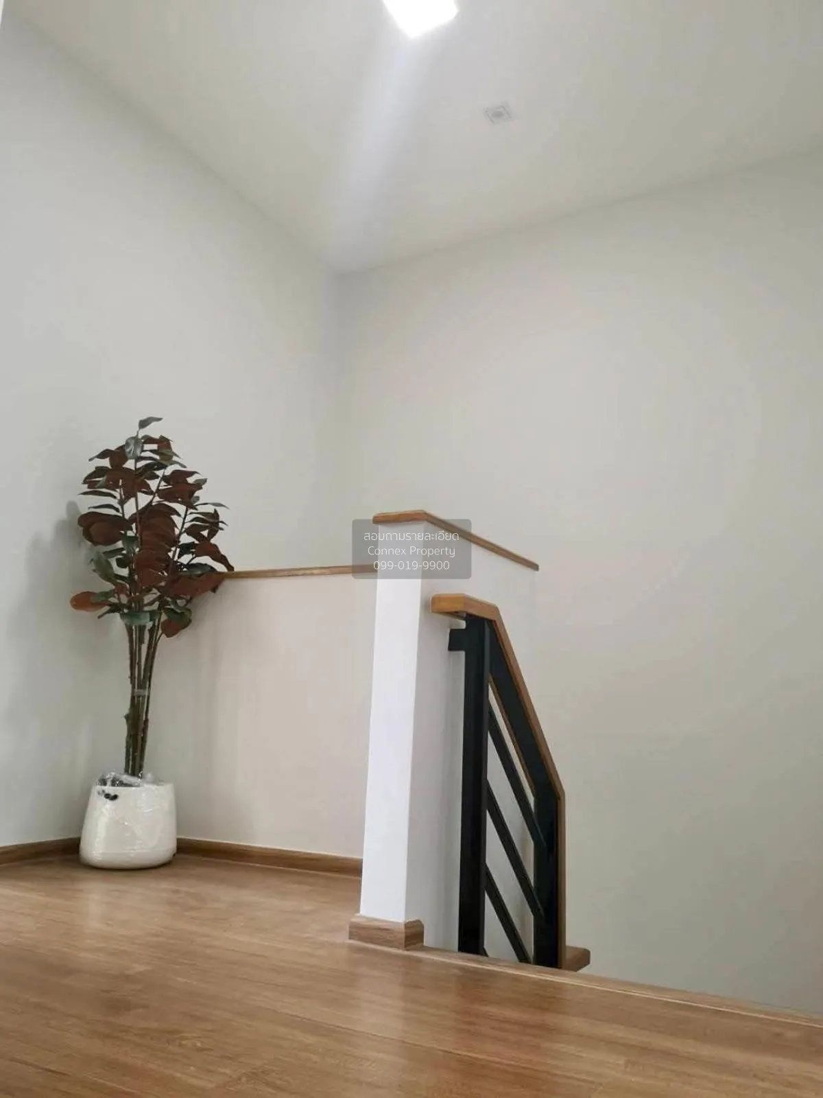 เช่าทาวน์เฮ้าส์/ทาวน์โฮม  พลีโน่ สุขุมวิท บางนา 3 บางแก้ว บางพลี 