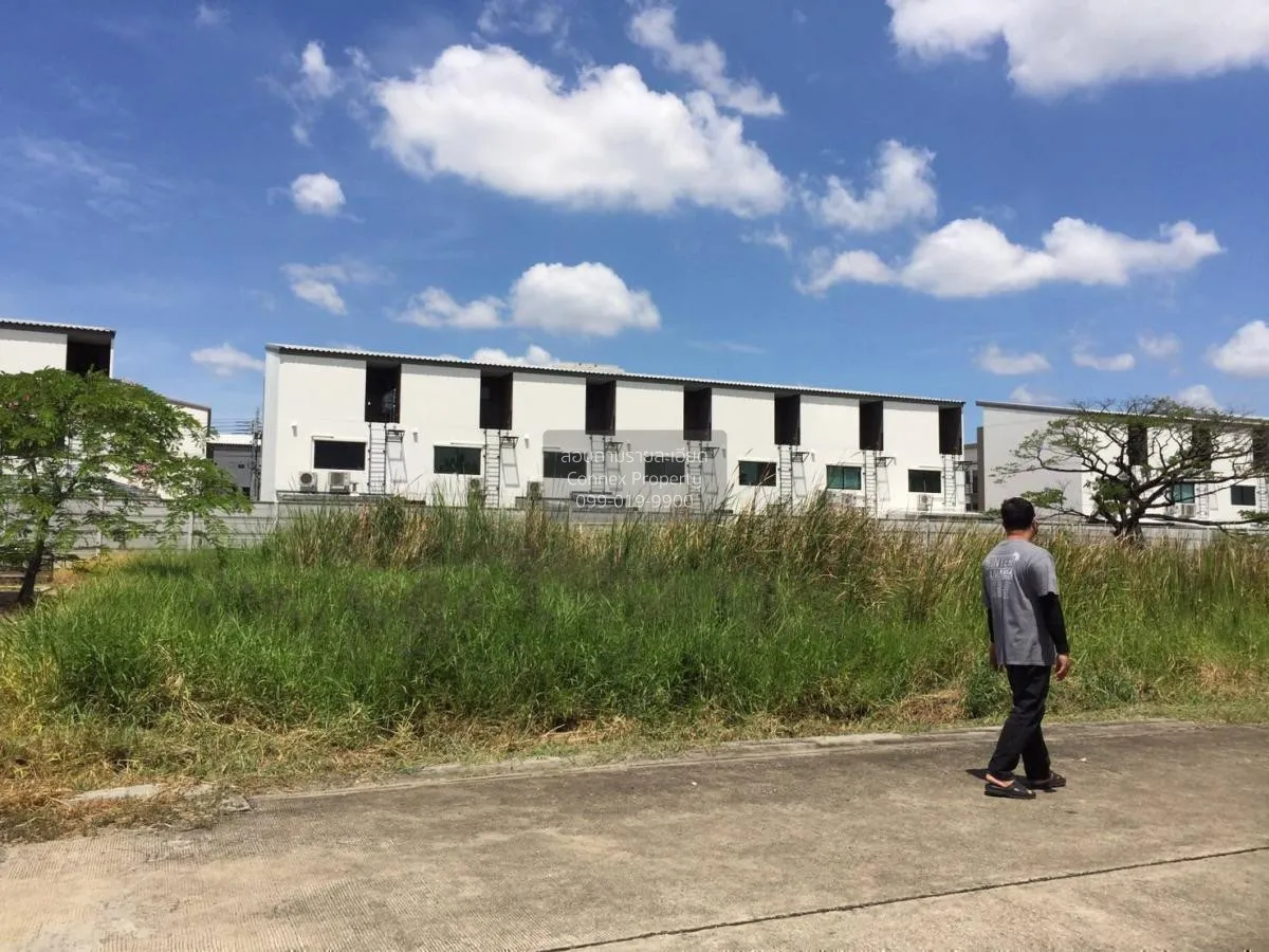 For Sale Land On Nut 70, Soi 5, 1 rai , Prawet , Prawet , Bangkok 2