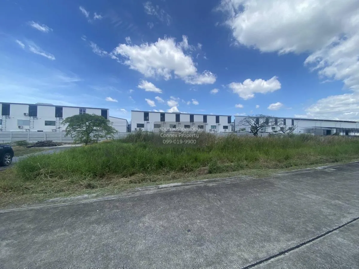 For Sale Land On Nut 70, Soi 5, 1 rai , Prawet , Prawet , Bangkok 4