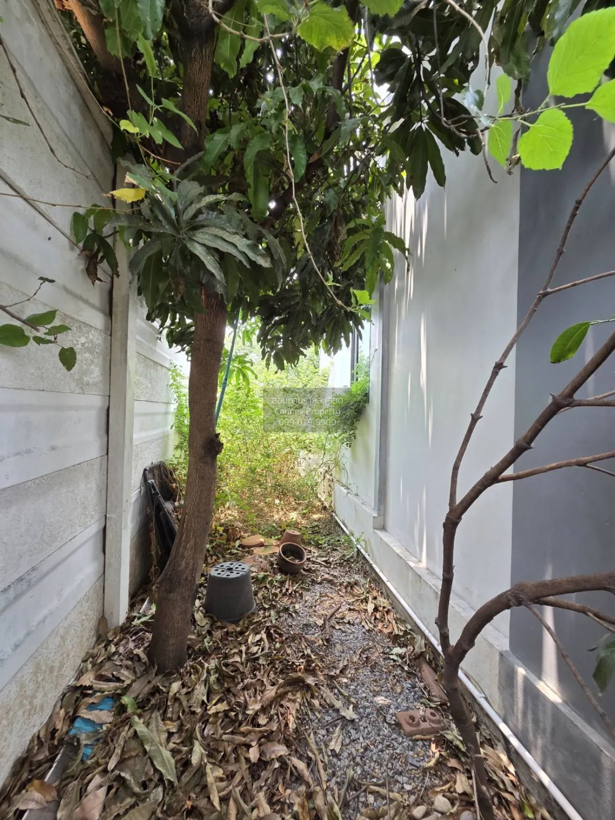 For Sale Townhouse/Townhome  , STORIES ONNUCH - WONGWAEN , Dok Ma