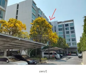 ขายคอนโด  ยู เกษตร – นวมินทร์ อนุสาวรีย์ เขต บางเขน กรุงเทพ CX-132573