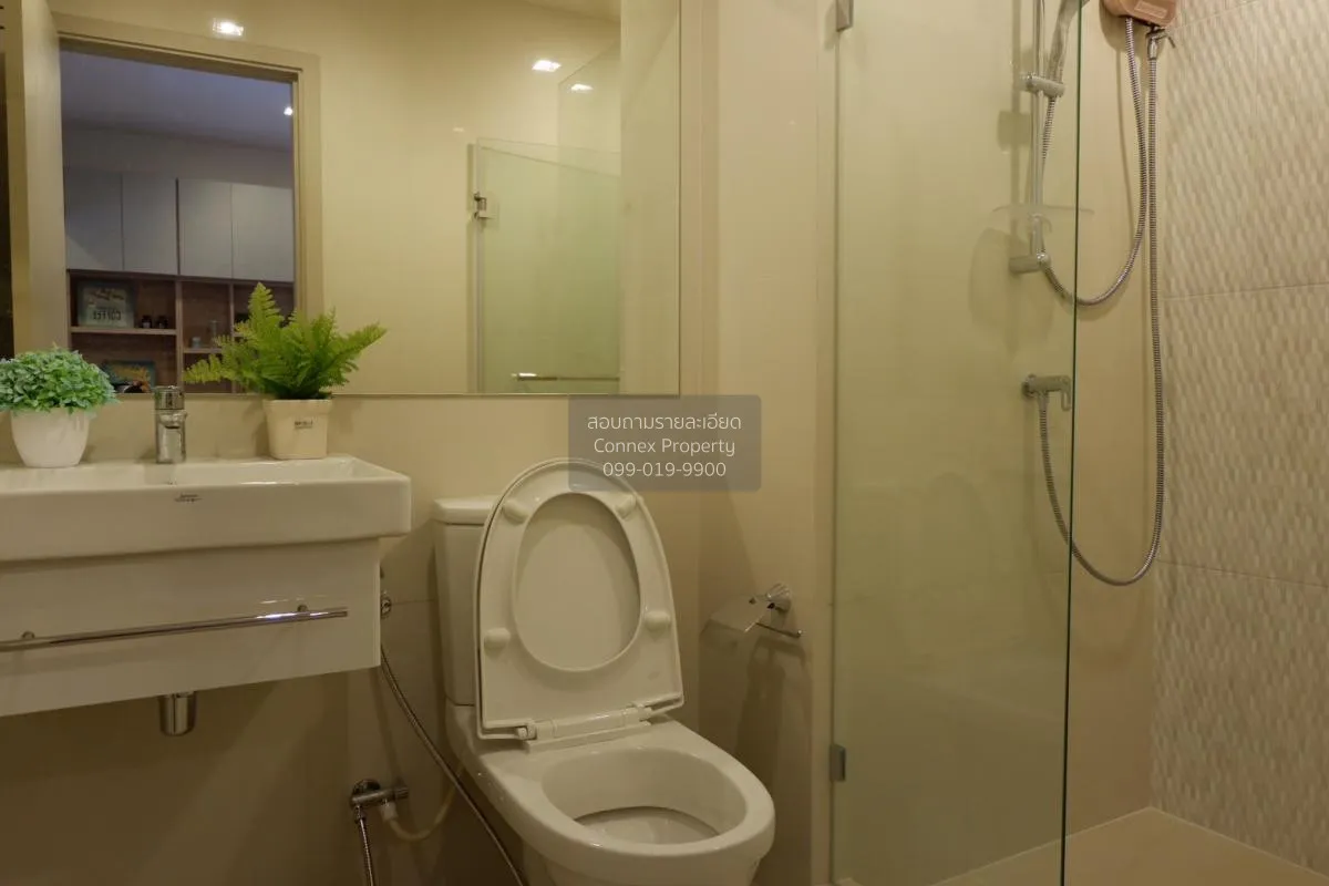 เช่าคอนโด  ไลฟ์ สุขุมวิท 48 BTS-พระโขนง พระโขนง เขต คลองเตย กรุงเ