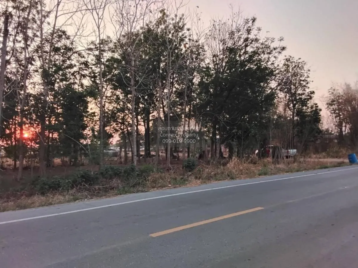 For Sale Vacant Land Phatthana Nikhom  Lopburi  CX-132784 1