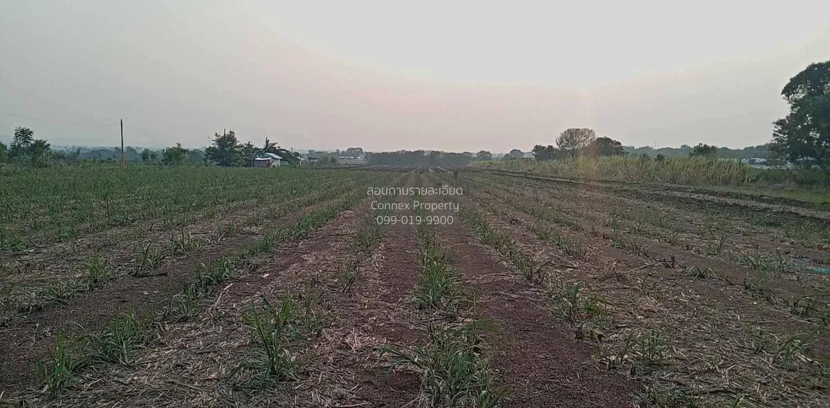 For Sale Vacant Land Phatthana Nikhom  Lopburi  CX-132784 4