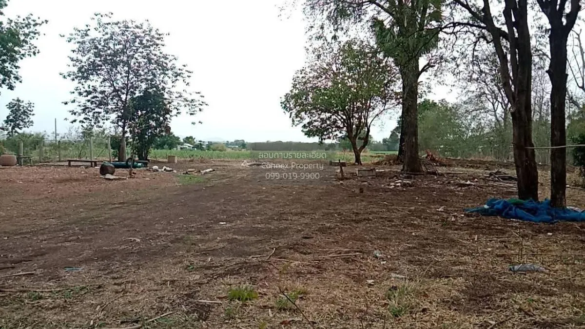 For Sale Vacant Land Phatthana Nikhom  Lopburi  CX-132784
