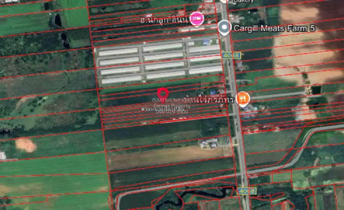 For Sale Vacant Land Phatthana Nikhom  Lopburi  CX-132784